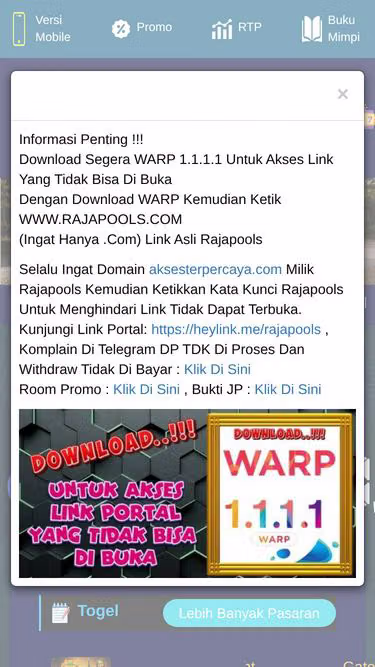 Screenshot of rjp.cam