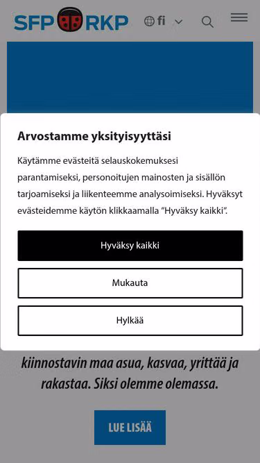 Screenshot of rkp.fi