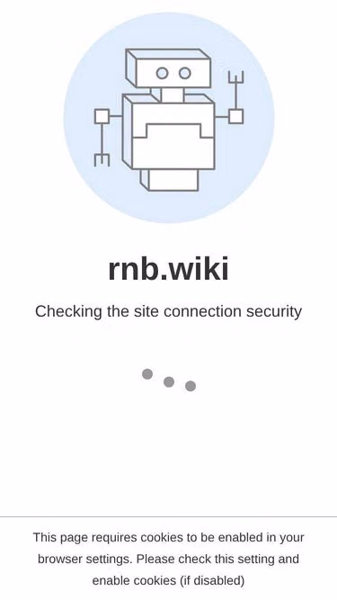 Screenshot of rnb.wiki