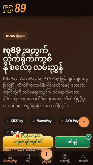 Screenshot of ro89.asia