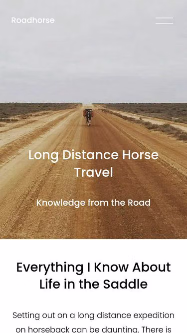 Screenshot of road.horse