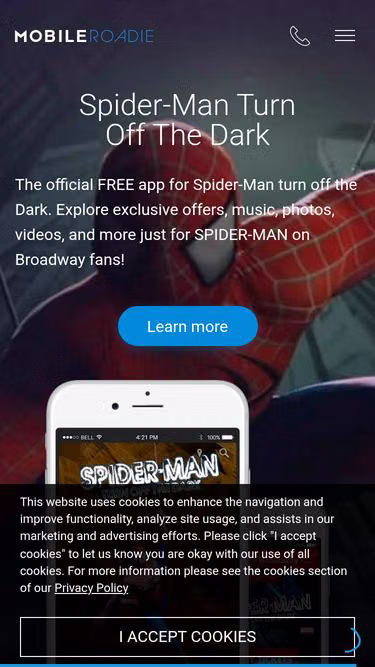 Screenshot of road.ie