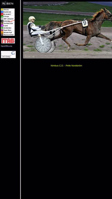 Screenshot of roben.se