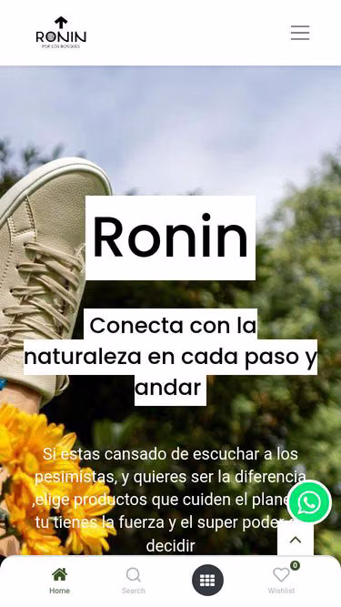 Screenshot of ronin.earth