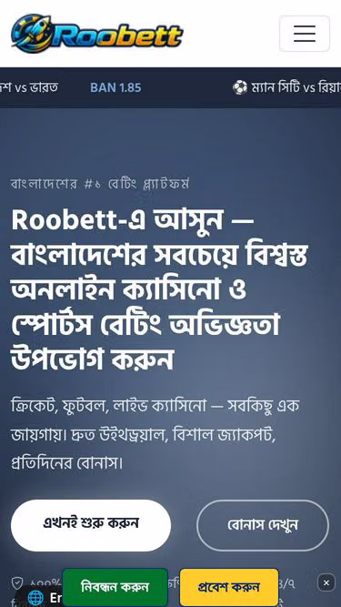 Screenshot of roobett.biz