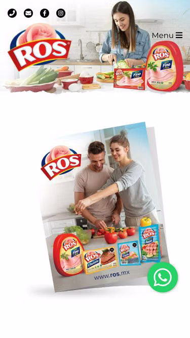 Screenshot of ros.mx