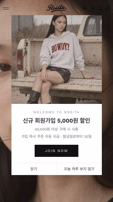 Screenshot of rosita.co.kr