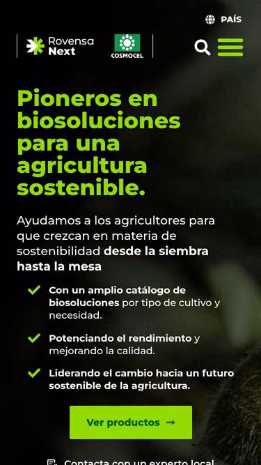 Screenshot of rovensanext.mx