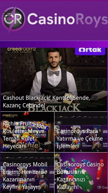 Screenshot of roys.web.tr