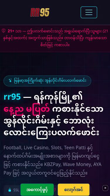 Screenshot of rr95.buzz