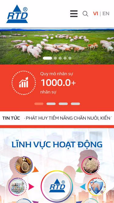 Screenshot of rtd.vn