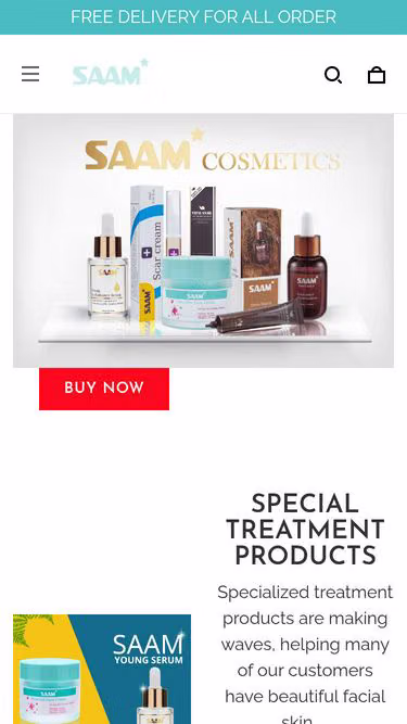 Screenshot of saam.website