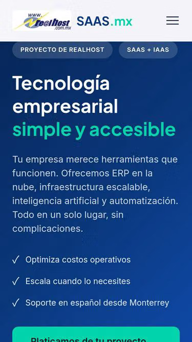 Screenshot of saas.mx