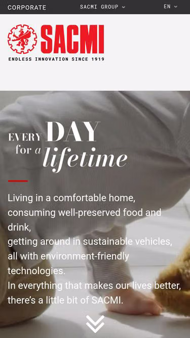 Screenshot of sacmi.co.uk