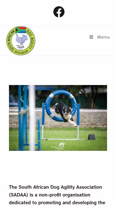 Screenshot of sadaa.co.za