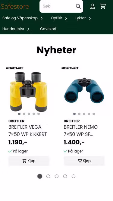 Screenshot of safestore.no