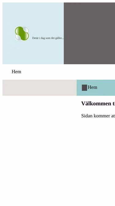 Screenshot of sager.nu