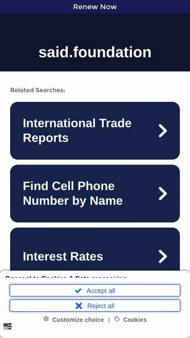 Screenshot of said.foundation