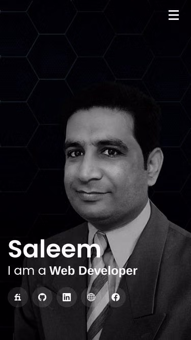 Screenshot of saleem.pk