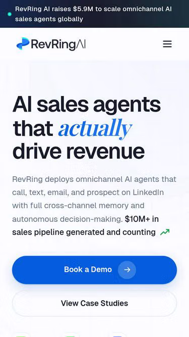 Screenshot of salesbot.info