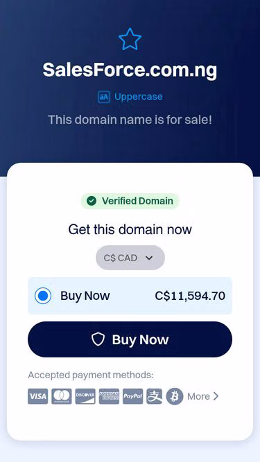 Screenshot of salesforce.com.ng