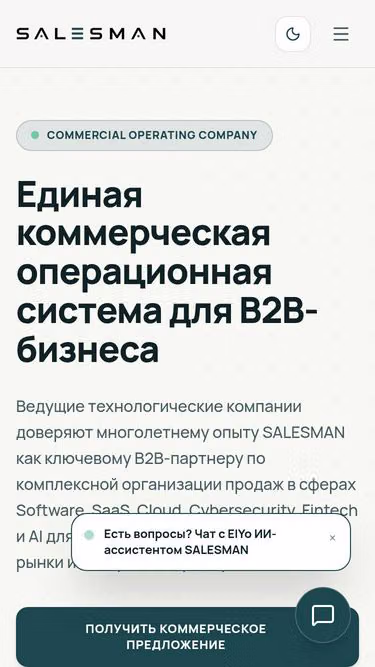 Screenshot of salesman.by