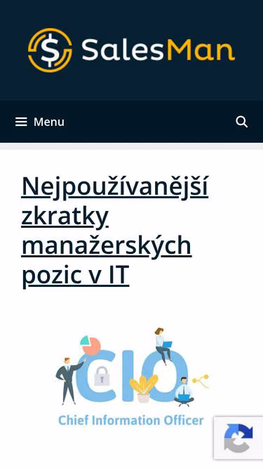 Screenshot of salesman.cz