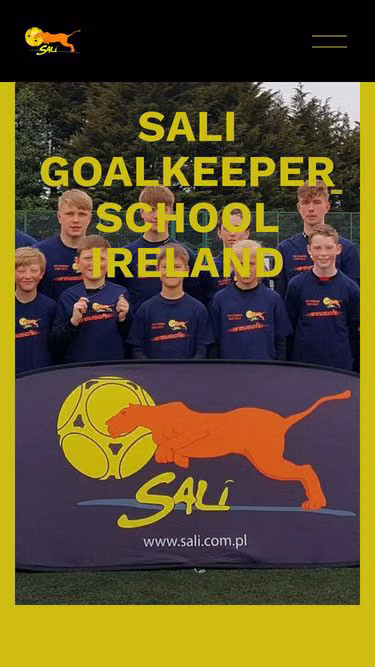 Screenshot of sali.ie