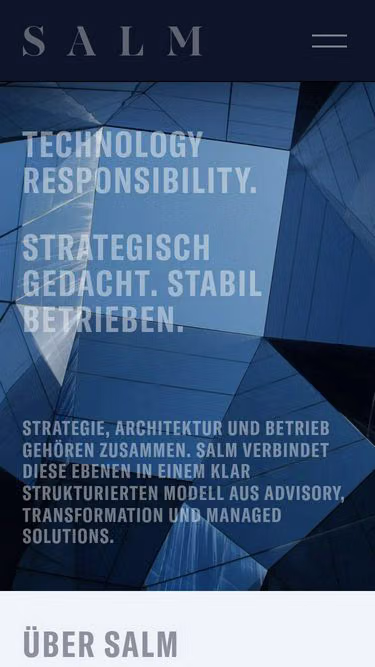 Screenshot of salm.global