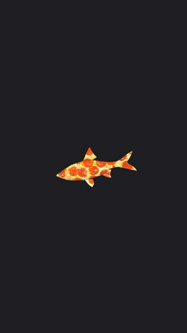 Screenshot of salm.one