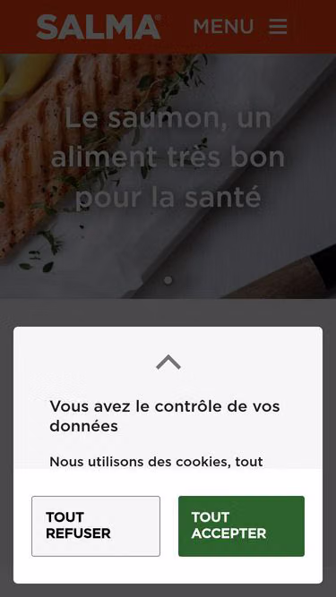 Screenshot of salma.fr