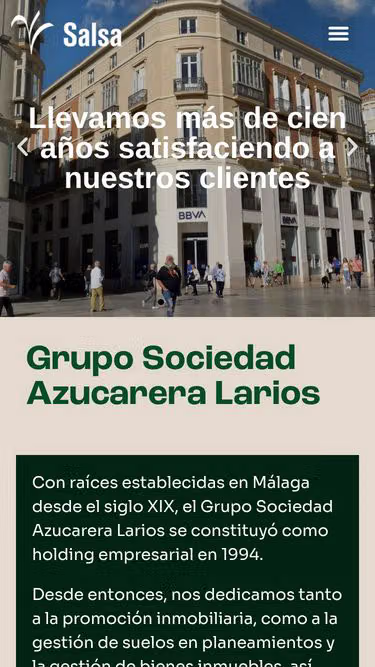 Screenshot of salsa.es