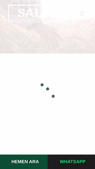 Screenshot of salt.com.tr