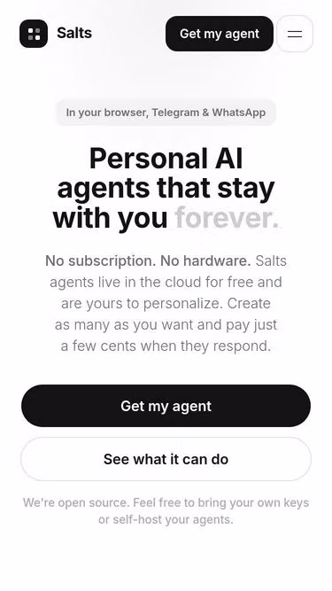 Screenshot of salts.dev