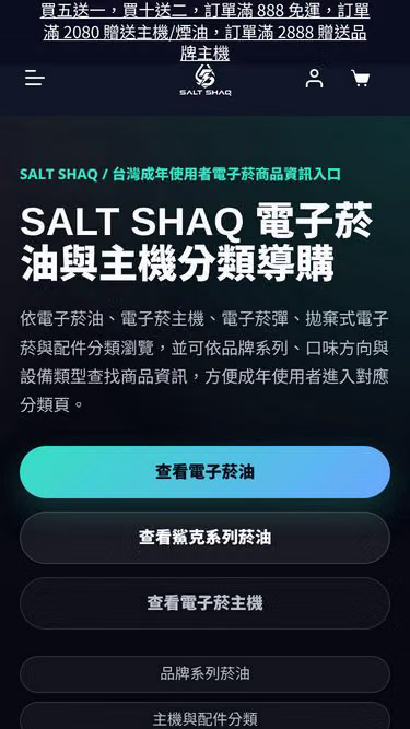 Screenshot of saltshaq.site