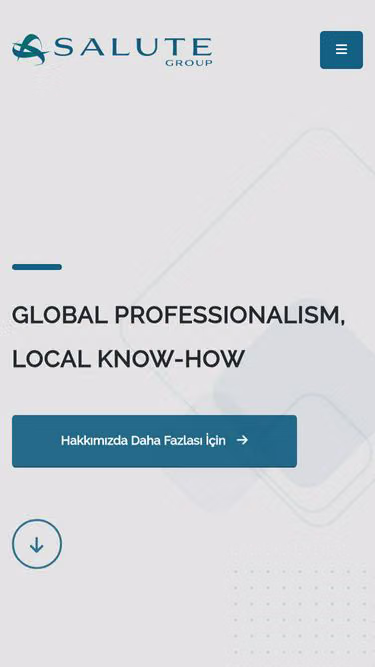 Screenshot of salute.com.tr