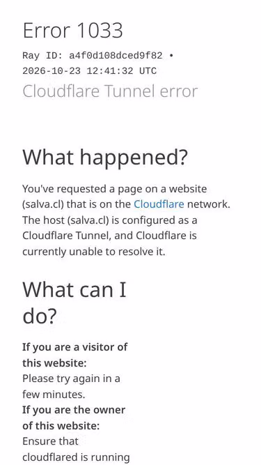 Screenshot of salva.cl