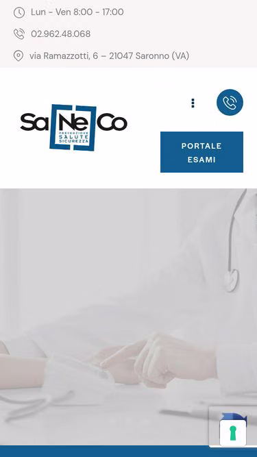 Screenshot of saneco.it