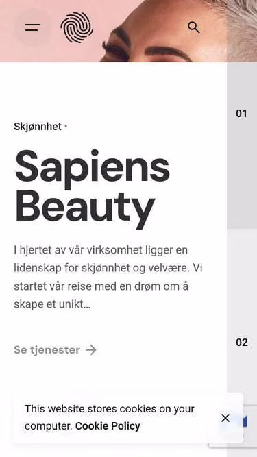 Screenshot of sapiens.no