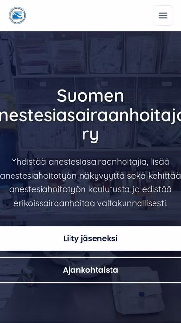 Screenshot of sash.fi