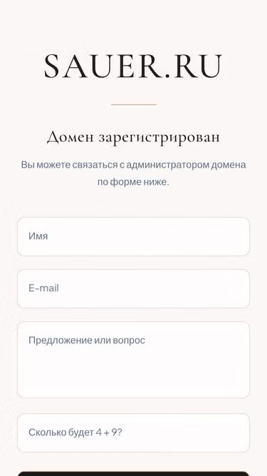 Screenshot of sauer.ru