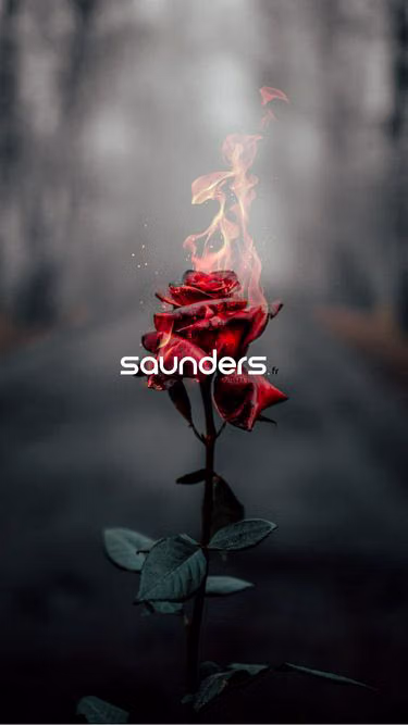 Screenshot of saunders.fr