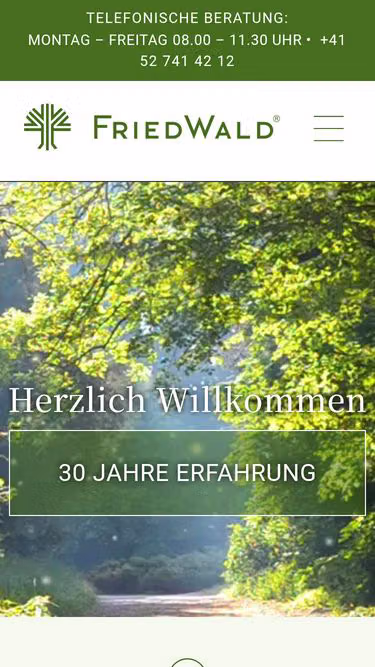 Screenshot of sauter.ch