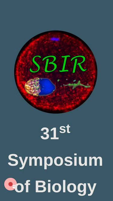 Screenshot of sbir.cz