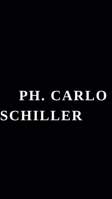 Screenshot of schiller.it