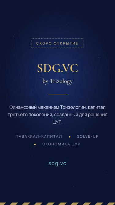 Screenshot of sdg.vc