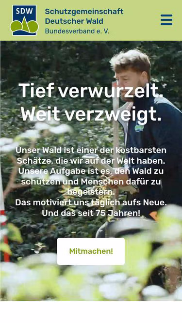 Screenshot of sdw.de