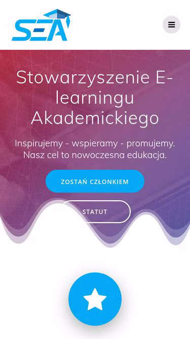 Screenshot of sea.edu.pl