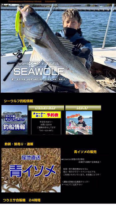 Screenshot of seawolf.jp
