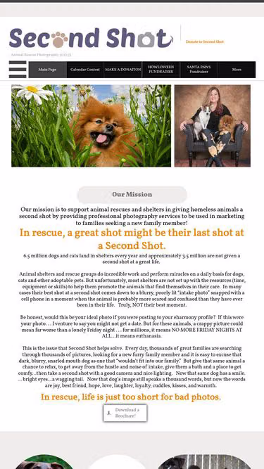 Screenshot of secondshot.pictures